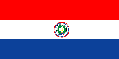 [Country Flag of Paraguay]